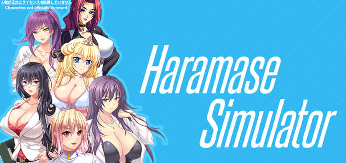 Haramase Simulator V0.3.1.1 完结汉化版+作弊指令 PC+安卓-比心acgn