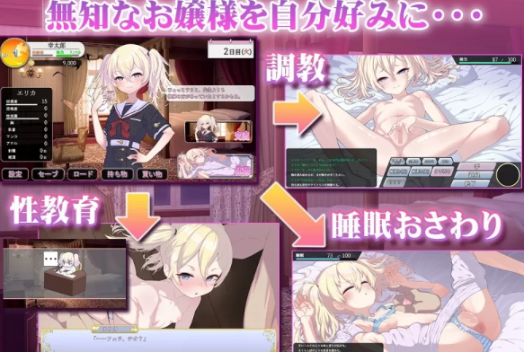 图片[2]-【SLG/AI汉化/PC】 懵懂无知的大小姐 このお嬢様、無知につき [PC+1.1g]-比心acgn